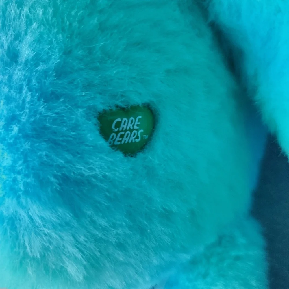Care Bears Aqua Love‎ the Earth Bear Rainbow Plush Toy 2021
